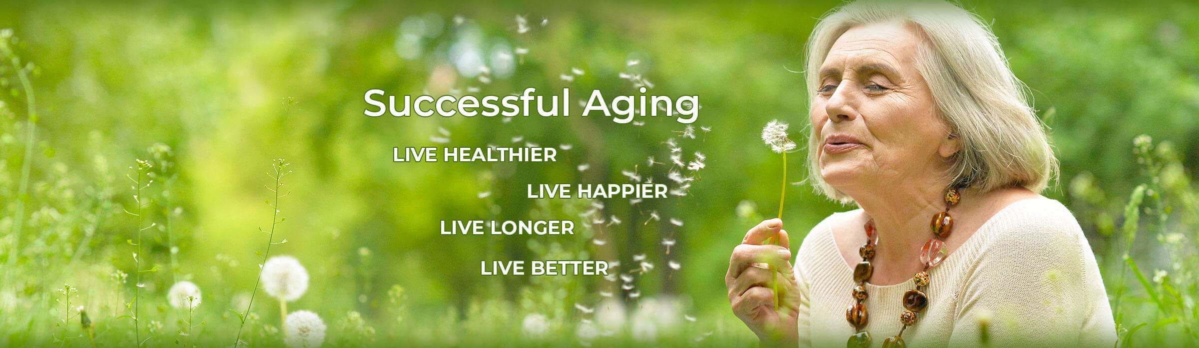Bootstrap via website (https://vineyardranchseniorliving.com/?utm_source=google&utm_medium=organic&utm_campaign=gmb)